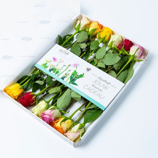Brievenbus Rozen gemengd (12 stuks)